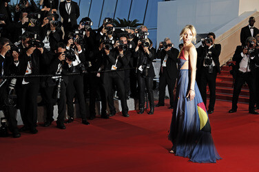 'The Sea of Trees' Premiere, Cannes Film Festival 2015