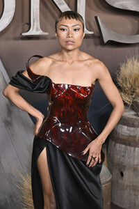 Serienpremiere 'The Abandons' in Los Angeles