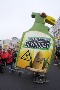 Demonstration 'Wir haben es Satt!' in Berlin