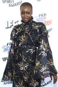 Film Independent Spirit Awards 2018 in Santa Monica