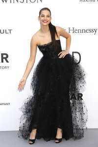 amfAR's Cinema Against Aids Gala, Cannes Film Festival 2016