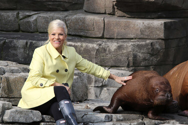 Walross Taufe im Tierpark Hagenbeck, Hamburg