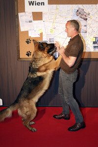 Filmpremiere 'Kommissar Rex' in München