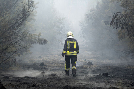 Waldbrandbekämpfung bei Treuenbrietzen