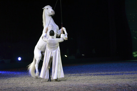 Pferdeshow 'Apassionata - Im Bann des Spiegels' in München