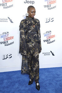 Film Independent Spirit Awards 2018 in Santa Monica
