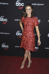 ABC Programmpräsentation 2015 in New York