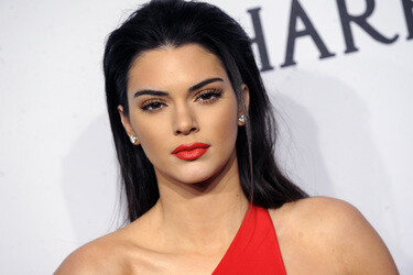 amfAR Gala 2015, New