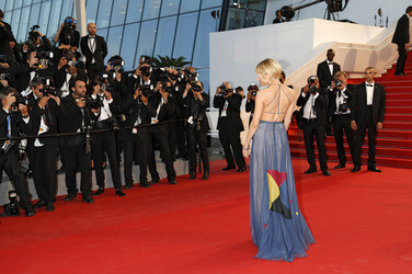 'The Sea of Trees' Premiere, Cannes Film Festival 2015