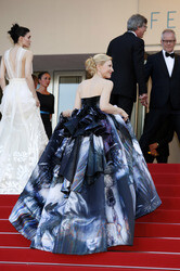 'Carol' Premiere, Cannes Film Festival 2015