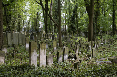 Symbolfoto Friedhof