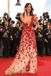 'The Sea of Trees' Premiere, Cannes Film Festival 2015