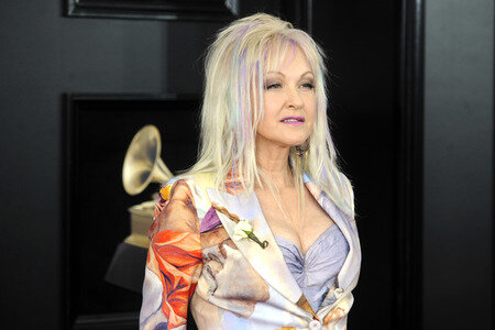 60. Grammy Awards in New York
