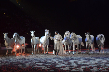 Pferdeshow 'Apassionata - Im Bann des Spiegels' in München