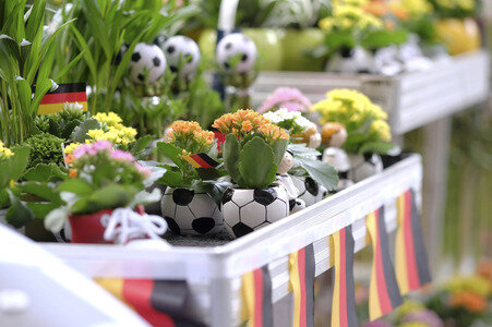 UEFA-Fußball-Europameisterschaft 2016 Impressionen aus Berlin