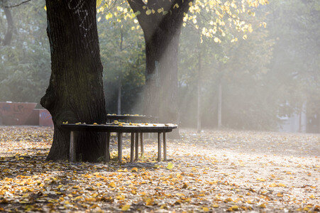 Symbolfoto Herbst