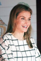 Red Cross Fundraising Day, Madrid