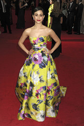 'Charles James: Beyond Fashion' Costume Institute Gala, New York