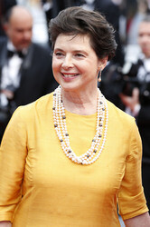 'Sicario' Premiere, Cannes Film Festival 2015