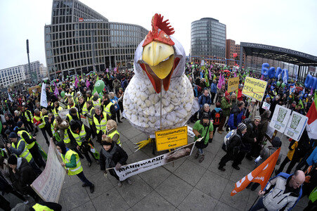 Demonstration 'Wir haben es Satt!' in Berlin