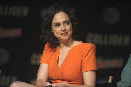 'Dirk Gentlys holistische Detektei' Panel, New York Comic Con 2017