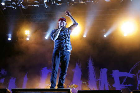 Elb-Riot Festival 2015 in Hamburg