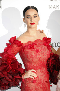 amfAR's Cinema Against Aids Gala, Cannes Film Festival 2016
