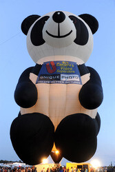 33. Quick Chek New Jersey Festival of Ballooning in Readington
