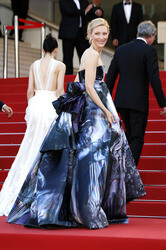 'Carol' Premiere, Cannes Film Festival 2015