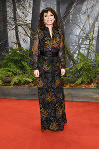 Filmpremiere 'Bird Box' in Berlin
