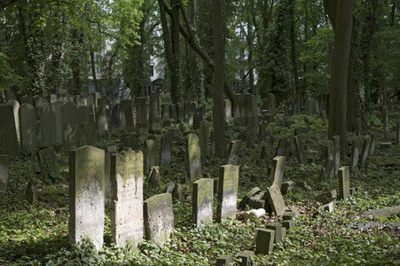 Symbolfoto Friedhof