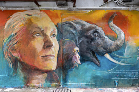 Hope for Wildlife Gala Dinner in Hongkong
