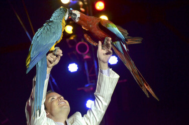 'Evolution' Weltpremiere im Circus Krone, München