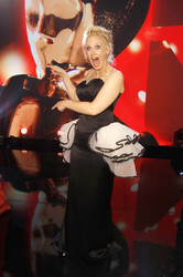 26. ROMY Gala 2015, Wien