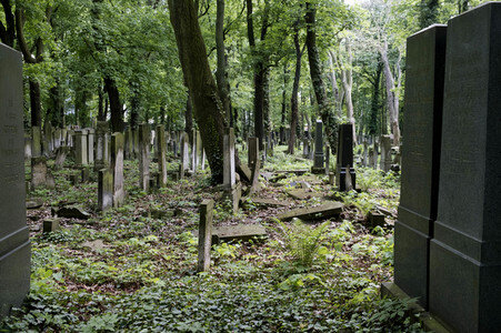 Symbolfoto Friedhof