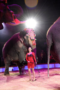 Premiere 3. Winterprogramm 2018 des Circus Krone in München