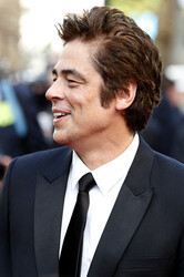 'Sicario' Premiere, Cannes Film Festival 2015