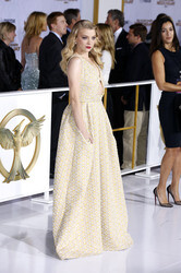'Die Tribute von Panem - Mockingjay: Teil 1' Premiere, Los Angeles