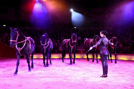 Premiere der 2. Winterspielzeit 2018 des Circus Krone in München
