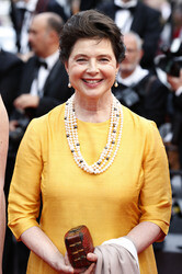 'Sicario' Premiere, Cannes Film Festival 2015