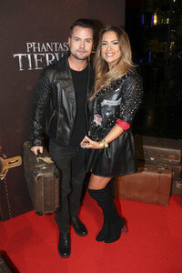 Filmpremiere 'Phantastische Tierwesen und wo sie zu finden sind' in Berlin