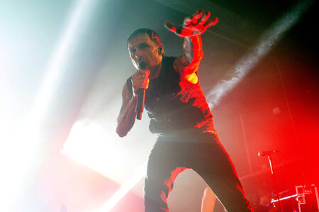 Konzert der Donots in Hamburg