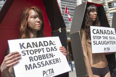 PETA Demonstration gegen das Robbenschlachten, Berlin