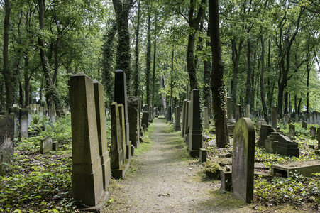 Symbolfoto Friedhof