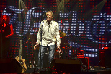 Konzert von Wolfgang Ambros auf dem Tollwood-Festival in München