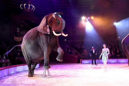 Premiere der 2. Winterspielzeit 2018 des Circus Krone in München
