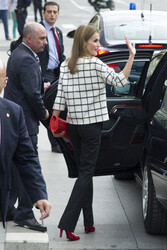 Red Cross Fundraising Day, Madrid