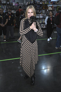 Comic Con Revolution in Ontario