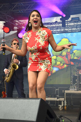 Münchener Sommernachtstraum 2015