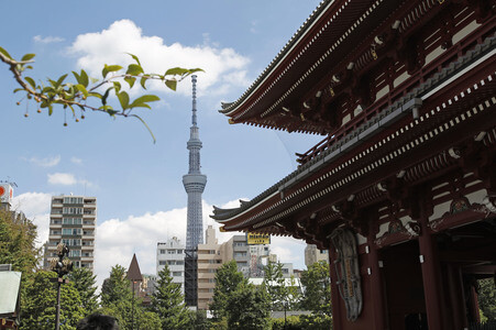 Sightseeing Tokio